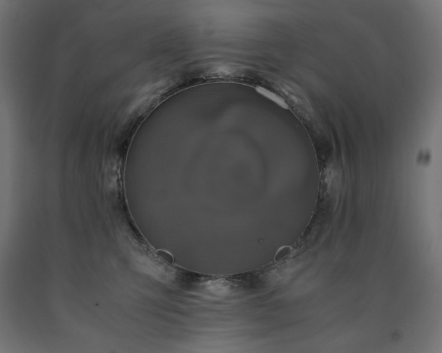 X0000091010423200708021552
