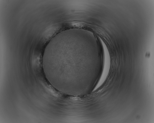 X0000091010424200708021552