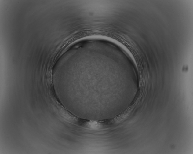 X0000091010425200708021552
