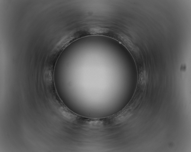 X0000091010426200708021552