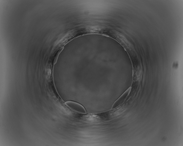 X0000091010427200708021552