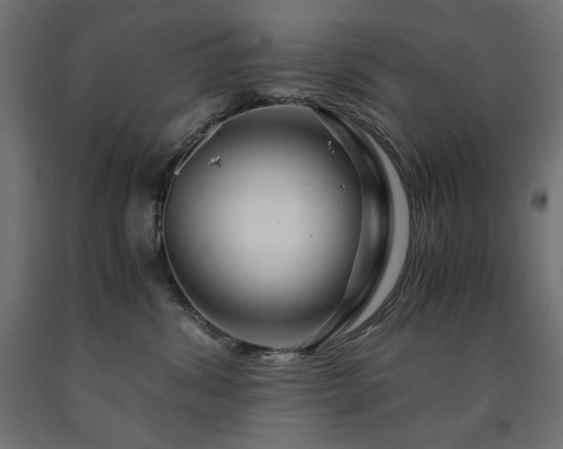X0000091010428200708021552