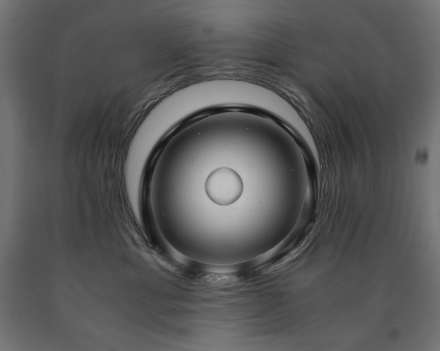 X0000091010429200708021552