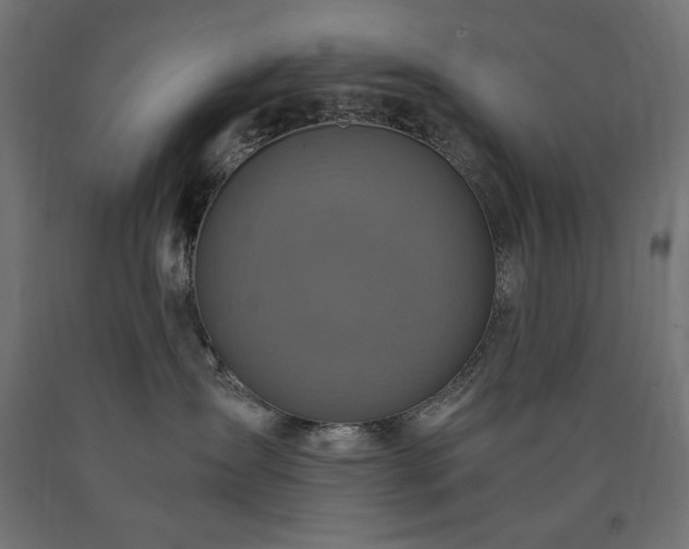 X0000091010431200708021552