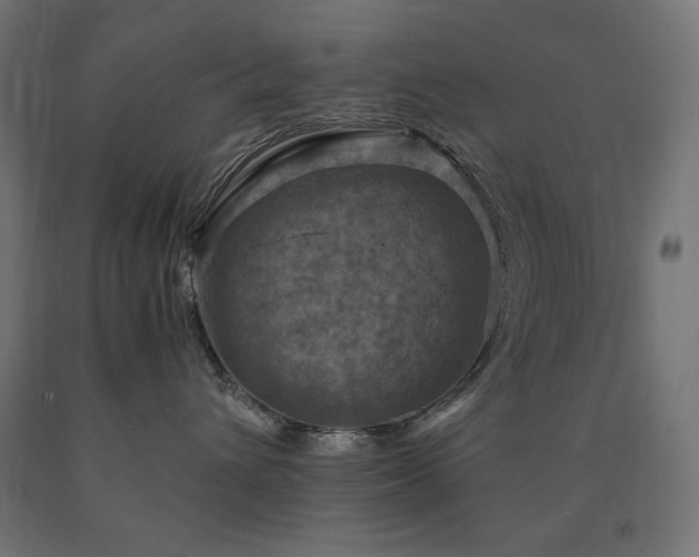 X0000091010432200708021552