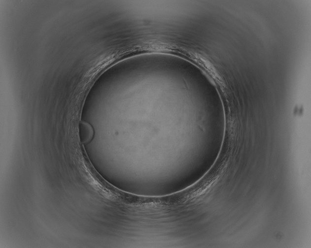 X0000091010433200708021551