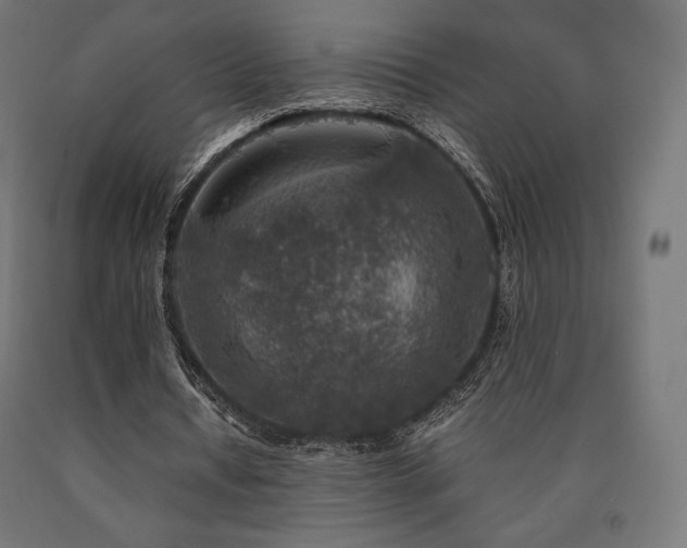 X0000091010434200708021551