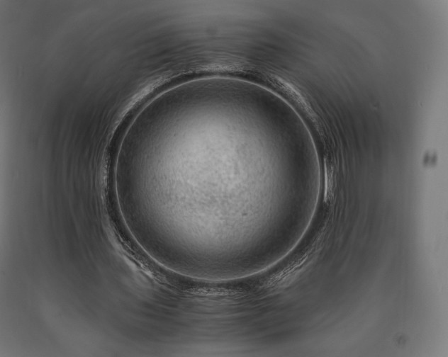 X0000091010435200708021551