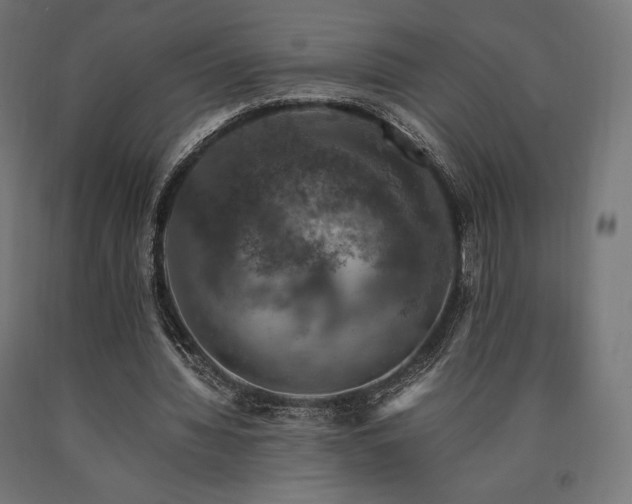 X0000091010436200708021552