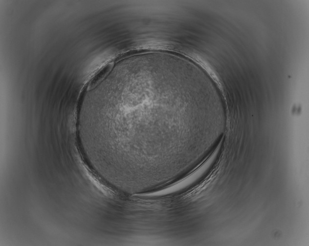 X0000091010437200708021552