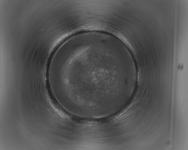 X0000091010438200708021552
