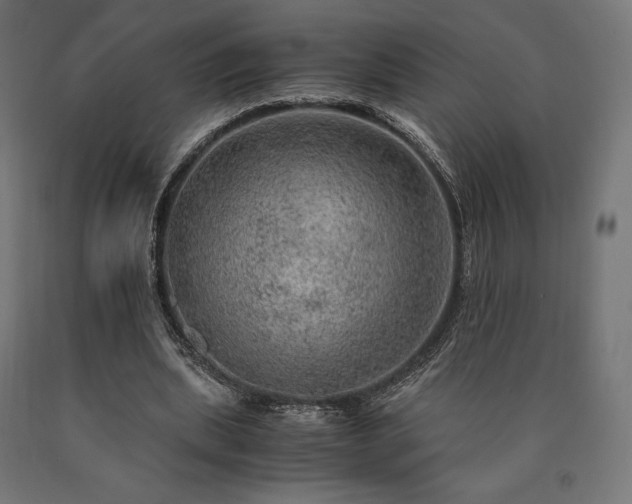 X0000091010439200708021552