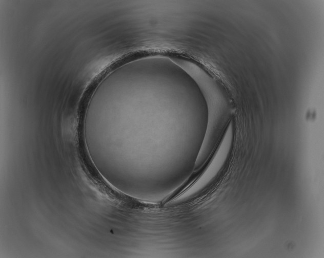 X0000091010440200708021552