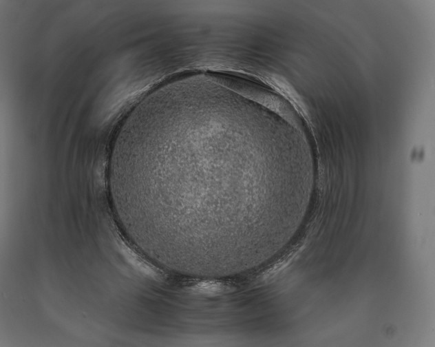 X0000091010441200708021552