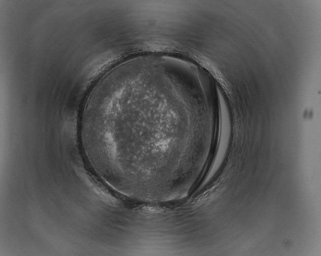 X0000091010442200708021552
