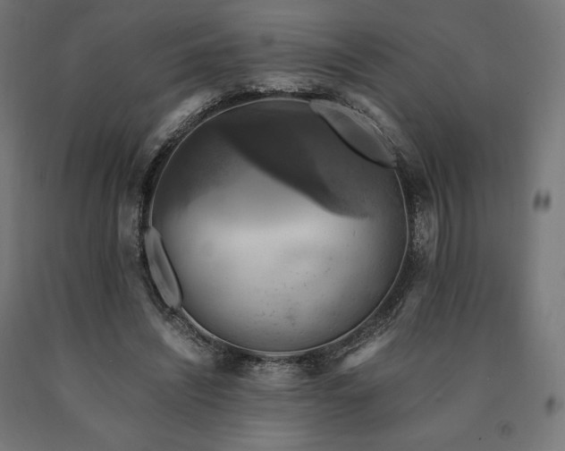 X0000091010444200708021552