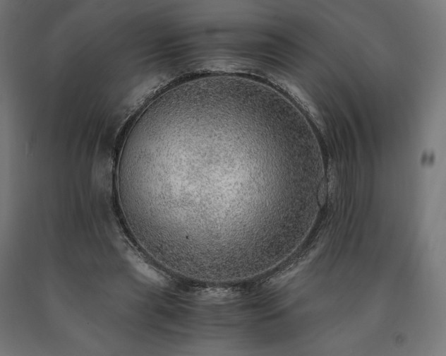 X0000091010445200708021552