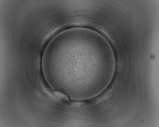 X0000091010446200708021552