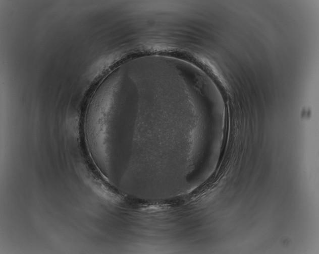 X0000091010447200708021552