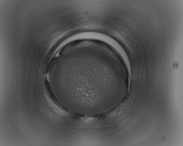 X0000091010448200708021552