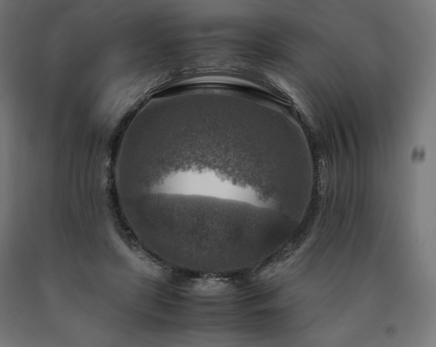 X0000091010451200708021552