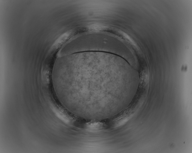 X0000091010452200708021552