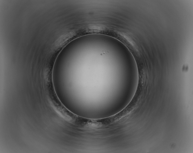 X0000091010455200708021552