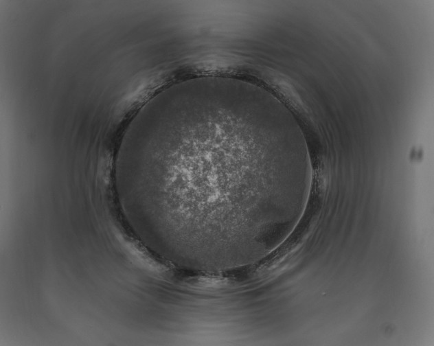 X0000091010458200708021552