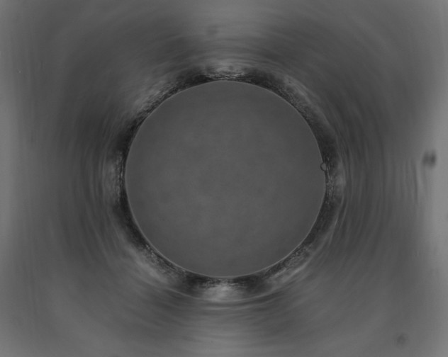 X0000091010460200708021552