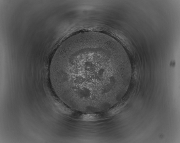 X0000091010461200708021552
