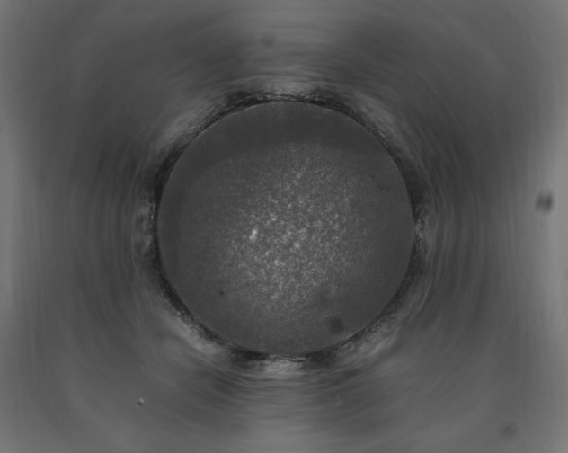 X0000091010462200708021552