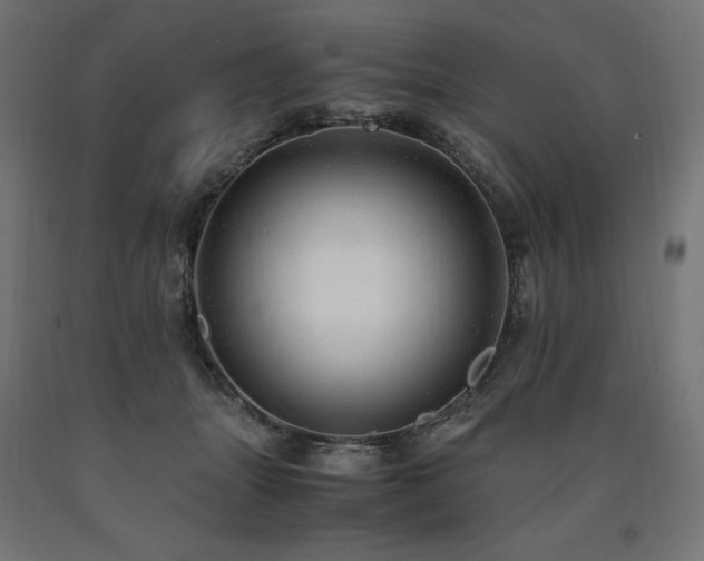 X0000091010463200708021552