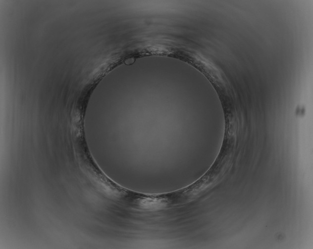 X0000091010465200708021552