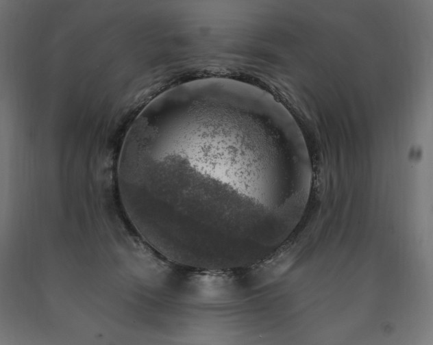 X0000091010466200708021552