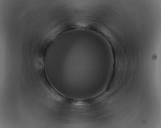 X0000091010467200708021552