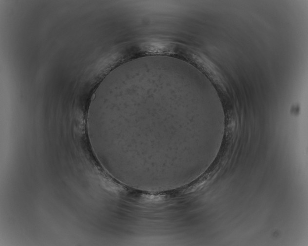 X0000091010469200708021552