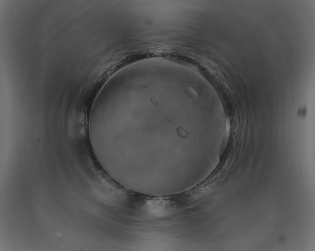 X0000091010470200708021552