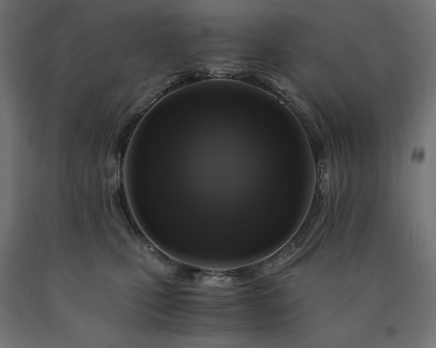 X0000091010471200708021552