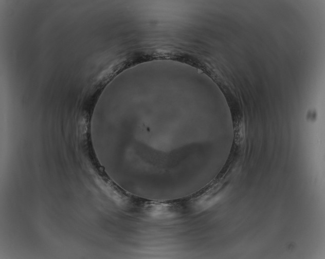X0000091010472200708021552