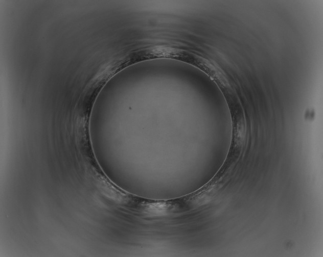 X0000091010473200708021552