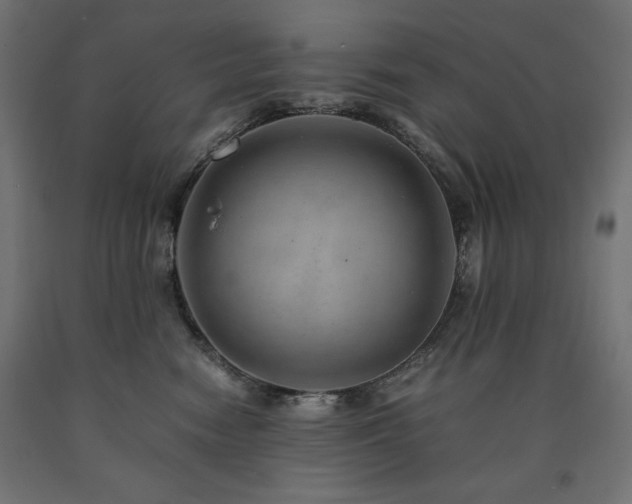 X0000091010474200708021552