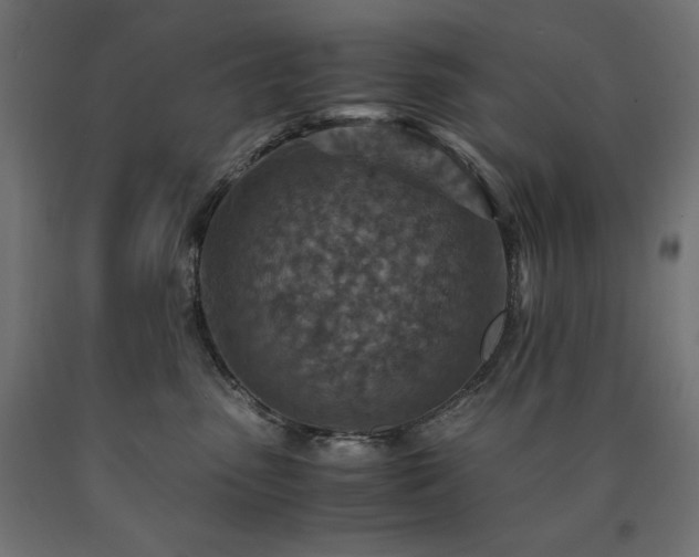 X0000091010475200708021552