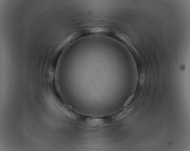 X0000091010476200708021552