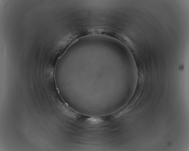 X0000091010477200708021552