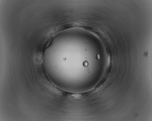 X0000091010478200708021552