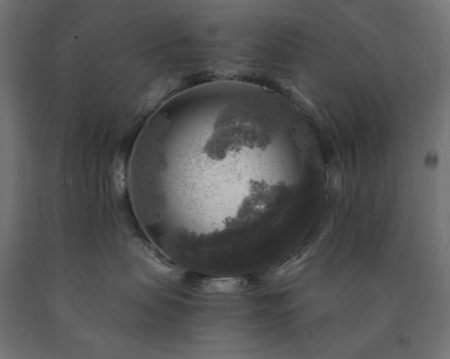 X0000091010479200708021552