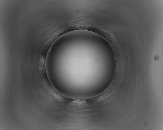 X0000091010480200708021552