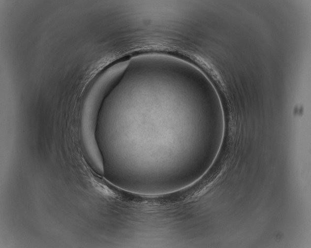 X0000091010481200708021551