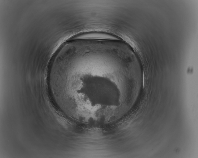 X0000091010483200708021551