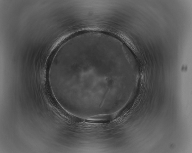 X0000091010484200708021551